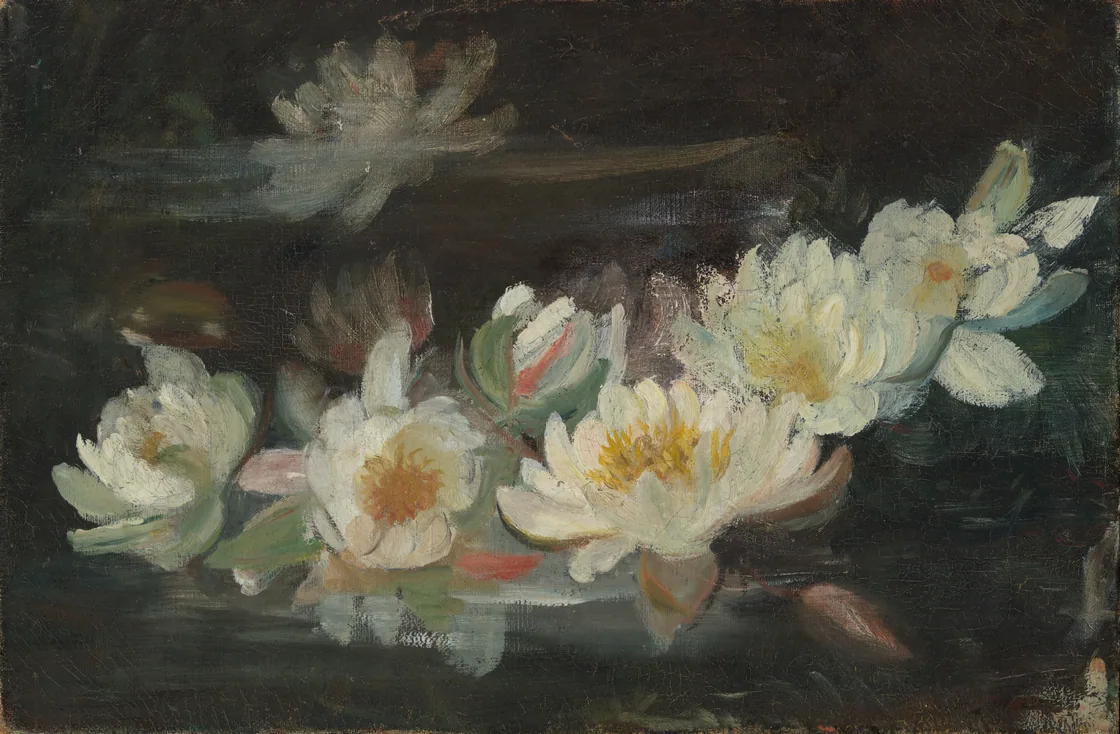 Artwork used for the Looking at Water sample exhibition