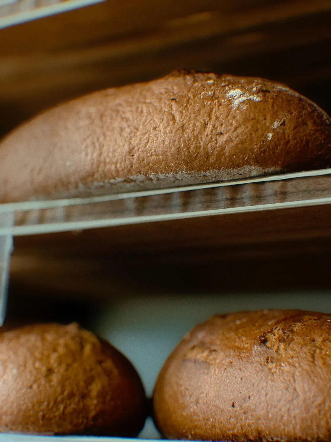 Rustic loaves on a bakery shelf