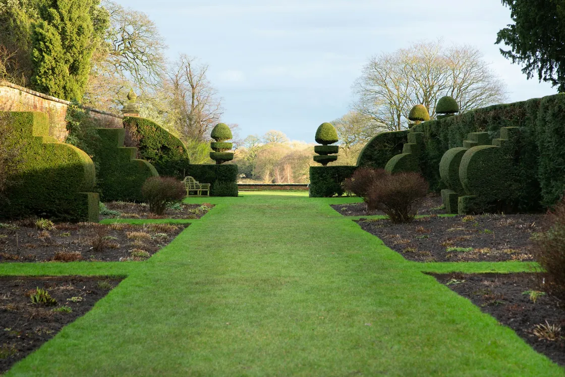 A broad green lawn between planted borders and sculpted topiary trees