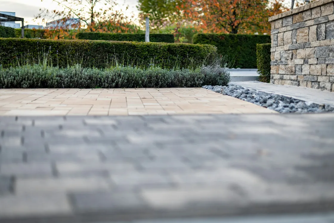 A gravel garden path edged by clipped green planting