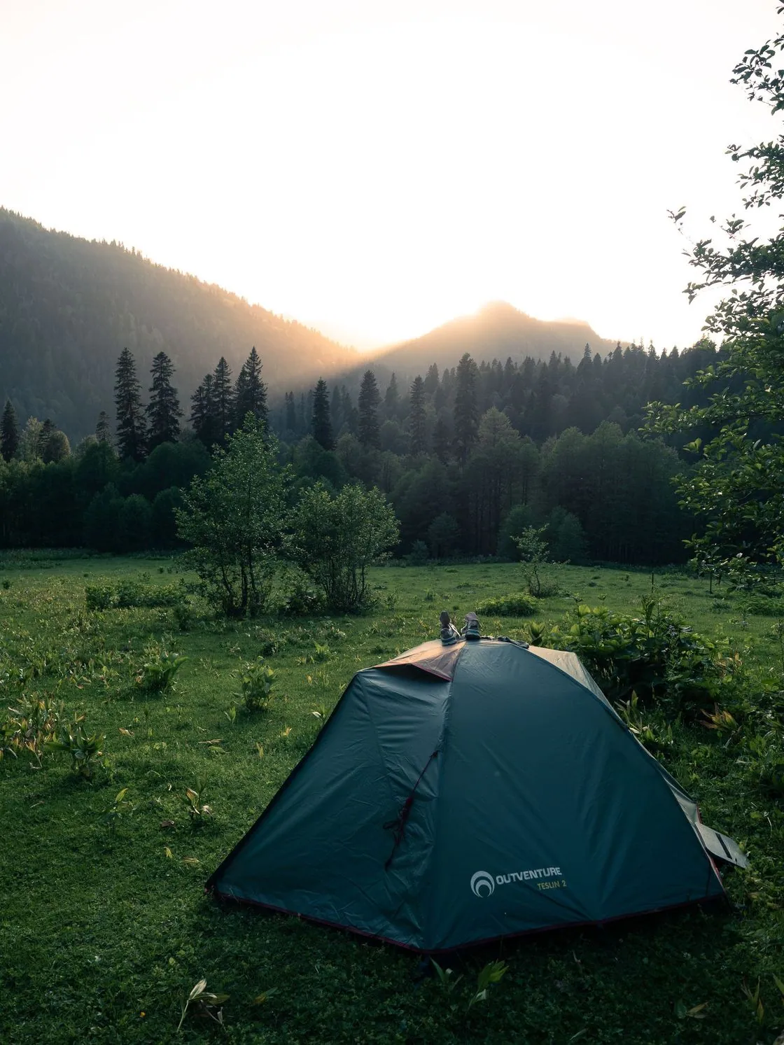 A small tent in a meadow near a forest