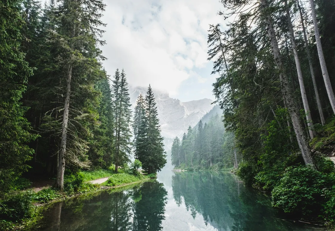 Pine trees reflected in calm green water beside a narrow lakeside path